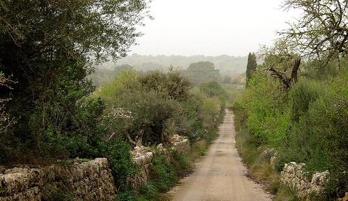 El Consell de Mallorca integrará en las rutas senderistas los caminos rurales de Alaró