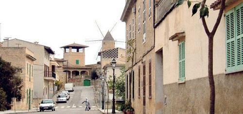 Siembra de naranjos en Maria