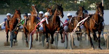 El Govern publica una nueva sección en su página web sobre el mundo del caballo