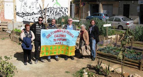 Cort amplía la edad para disponer de huertos urbanos