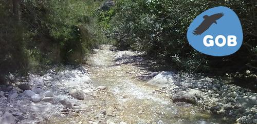 EL GOB denuncia que el conseller Company 'condena' el futuro del agua en Mallorca