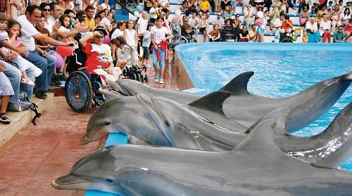 Marineland abre su Escuela de Verano a partir del 24 de junio