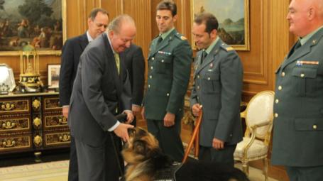 El Rey recibe a Ajax, el perro de la Guardia Civil que detectó un segundo explosivo en Palmanova tras el atentado de ETA