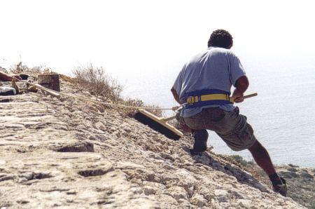 Reiniciadas las labores de limpieza de las Murallas de Ibiza