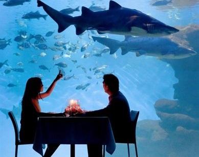 Palma Aquarium  ofrece de nuevo este verano las cenas con tiburones