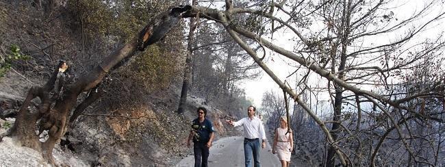 Bauzá dice que ya son 1.600 las hectáreas quemadas 