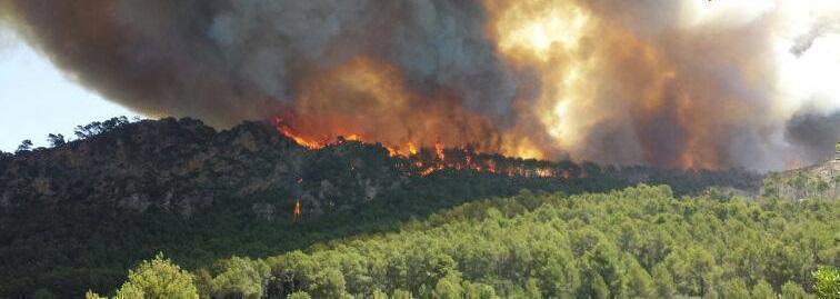 El fuego ha afectado ya a 2.000 hectáreas y todavía no ha podido ser controlado el frente del Galatzó