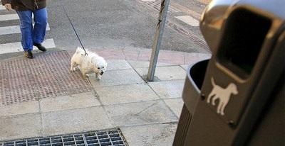 MÉS critica la proliferación de la suciedad 'que inunda las calles del centro de Palma'
