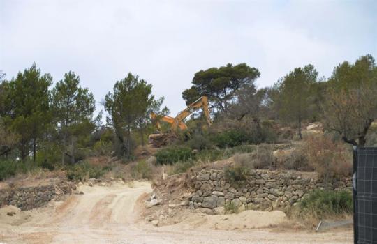 ARCA alerta de que unas obras en el Puerto de Andratx destruyen un conjunto de bancales