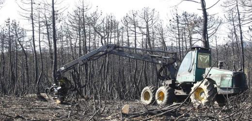 Restablecido el tráfico de la carretera Andratx-Estellencs, limitando la velocidad a 40 km/h