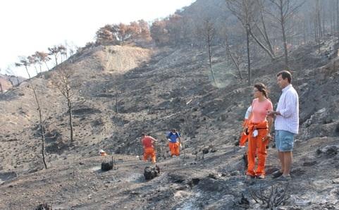 Un centenar de voluntarios participan en la primera jornada para recuperar la zona afectada por el incendio de la Serra