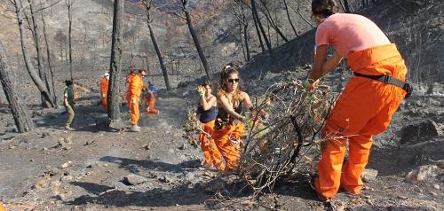 Un centenar de voluntarios participan en la tercera jornada de recuperación de la Serra