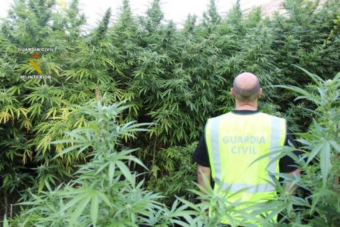 Detenidas 10 personas en Mallorca tras desarticular una organización dedicada a la venta de droga en es Raiguer