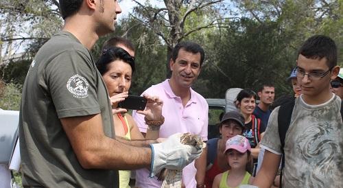 El Parque Natural de Mondragó libera una treintena de ejemplares de fauna autóctona recuperados en el COFIB