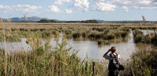 El Ministerio de Medio Ambiente y el Secretariado de Ramsar, preocupados por la conservación de s'Albufera de Mallorca 