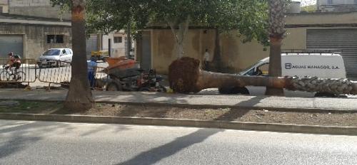 Otra avería deja sin agua a media Manacor