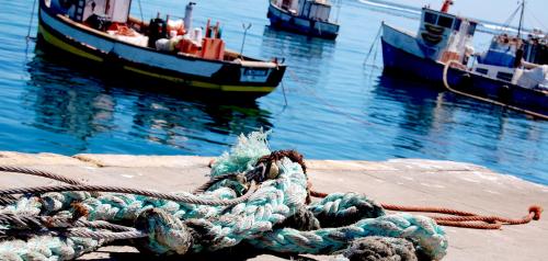 El PP acepta 19 enmiendas de la oposición al proyecto de Ley de Pesca de Baleares