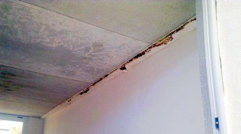 Iniciados los trámites para pedir a la constructora de un colegio de Inca que corrija las deficiencias de obra
