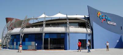 El Palma Aquarium entrega un cheque de 6.800 euros a la Fundación Handisport