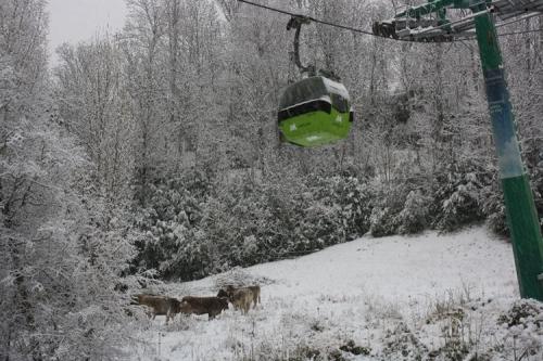 El mes de noviembre ha sido más frío de lo normal y un 35 por ciento menos lluvioso de lo habitual, según la Aemet