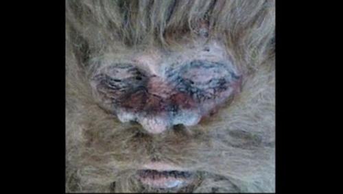 Un cazador asegura haber matado a ‘Bigfoot’ y tener pruebas
