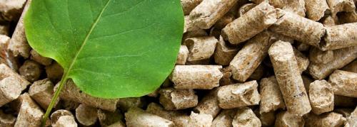 El Govern celebra el próximo miércoles 22 una jornada sobre los usos térmicos de la biomasa