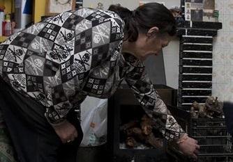 La mayoría de ancianos atendidos por Cruz Roja pasan frío en sus casas