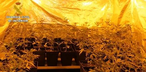 La Guardia Civil desmantela una plantación de marihuana instalada en un edificio de tres pisos en Palma