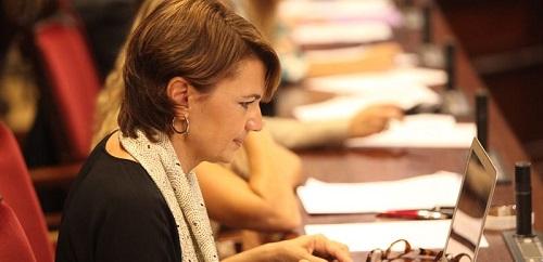 El PP reclama 'más voluntad' política para que se cumpla el ordenamiento cívico en Playa de Palma