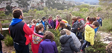Más de 6.800 alumnos de Baleares han participado en campos de aprendizaje de la Conselleria de Educación