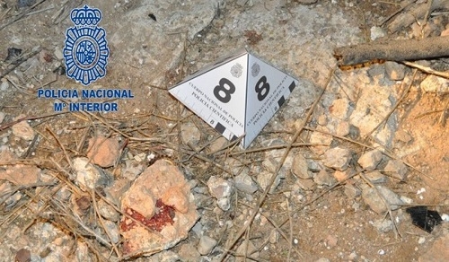 Detenido por las grave lesiones causadas a un varón que apareció inconsciente y semidesnudo en un descampado de Palma