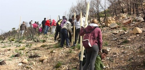 El GOB destaca que la recuperación de la Trapa es posible por la ayuda de 4.000 voluntarios y solidaridad de entidades