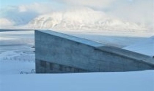 Un búnker noruego guarda un duplicado de semillas de todos los alimentos del mundo
