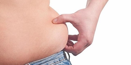 Identifican el gen de la grasa