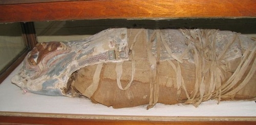 Descubren un insólito tatuaje en una milenaria momia egipcia