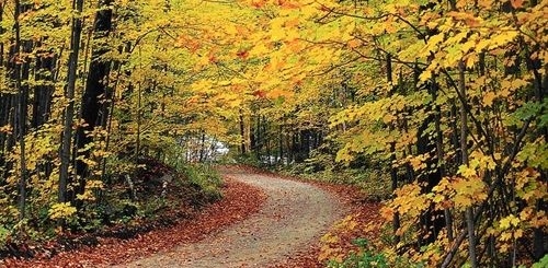 El otoño, que entra mañana, será más cálido de lo normal, sobre todo en Cataluña y Baleares, y lloverá lo normal
