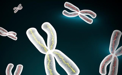 La búsqueda de la vida artificial da un paso de gigante 