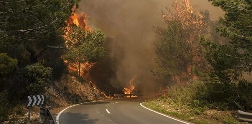 El GOB pide al Govern que se prohíba la caza en las zonas incendiadas