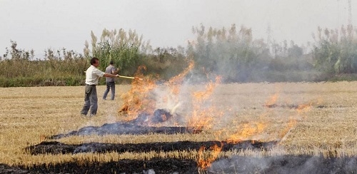 El Govern suspende las autorizaciones para uso del fuego en terreno forestal en Mallorca y las Pitiusas