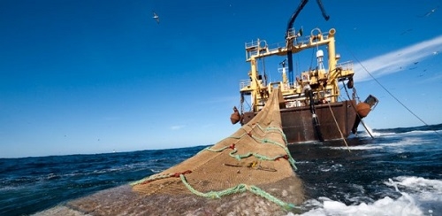 Oceana pide mayor reducción de esfuerzo pesquero en el Mediterráneo por el fraude en la potencia de los motores