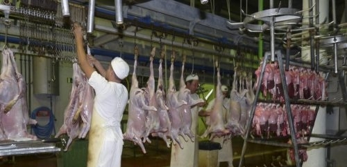 Cort inicia un expediente a Escorxador i Serveis Càrnics de Palma para determinar si hay fraude con las subvenciones