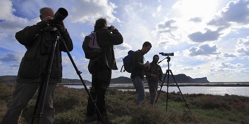 Endesa y el GOB presentan el 29º volumen del anuario ornitológico de las Islas Baleares