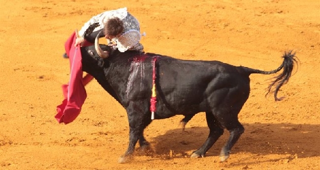https://www.noticiasmallorca.es/imatges/fotosweb/2015/02/03/5482torero.jpg