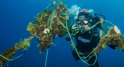 Aprobado el decreto que regula el buceo profesional