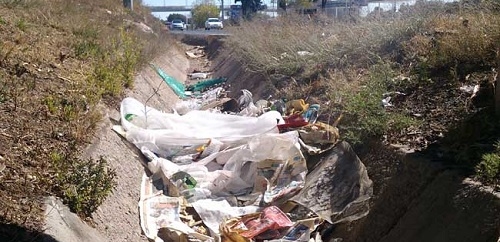 C's exige a Cort un plan 'urgente' de limpieza de desagües y calles ante la temporada de lluvias