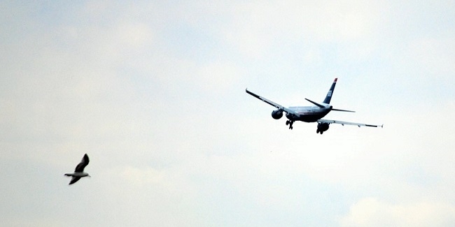 Armengol defiende conseguir el 75% de descuento de los vuelos entre las Islas y la Península