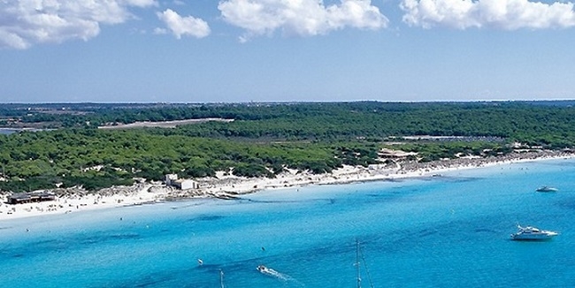 Acuerdan el acceso a Es Covetes y Es Trenc a través de un sistema de minibuses lanzadera que partirán desde Sa Ràpita
