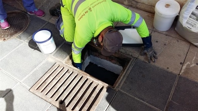 El Ayuntamiento de Palma realizará una campaña para prevenir plagas en 10 barrios de la ciudad