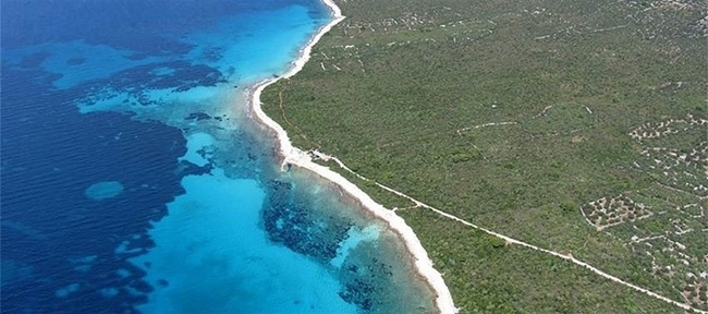 Investigadores revelan cómo se forman los 'círculos de hadas' en las praderas submarinas de la 'posidonia' mediterránea
