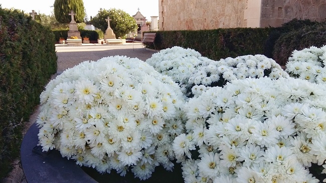 Las floristerías prevén un 10% más de ventas de cara a Tots Sants y debido a que se alargan los días de visitas al cementerio